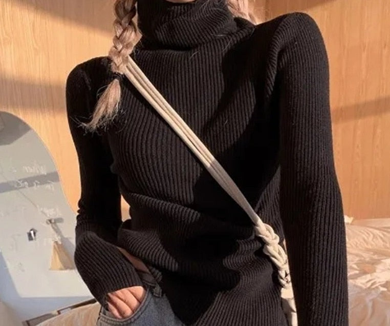 Jersey Gótico Alice Turtleneck