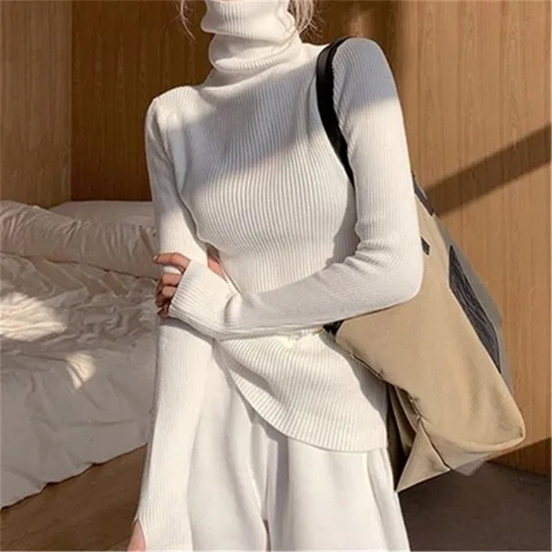 Jersey Gótico Alice Turtleneck
