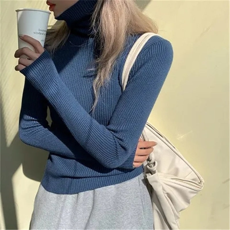 Jersey Gótico Alice Turtleneck